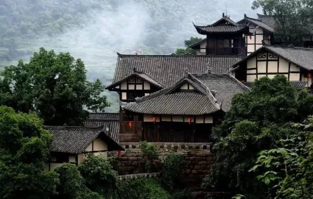 逃离野丛之森